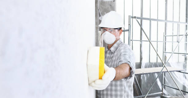 Why You Should Choose Our Mold Remediation Services in Batesville, TX